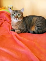 KLARA_12.05.2022