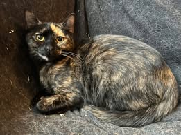 GRETEL_05.05.2022