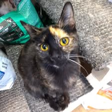 GRETEL_05.05.2022