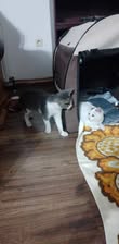 SELMA&LUKAS_15.04.2024