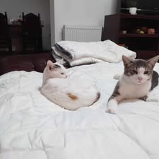 SELMA&LUKAS_15.04.2024