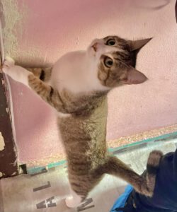 KIMY_01.03.2024