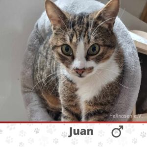 JUAN_15.09.2022