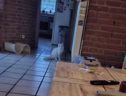 GABRIELO_10.03.2024