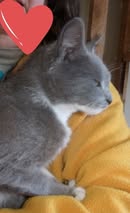 EMMAH_07.2024