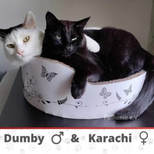 DUMBY & KARACHI_2021