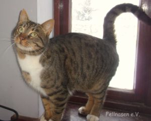 JENSON_08.2023