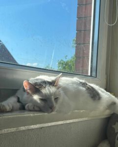 DUMBY _2021