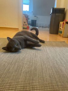 MAM&GREY_01.08.2018