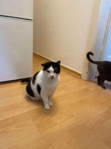 MAM&GREY_01.08.2018