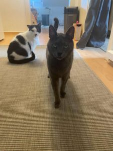 MAM&GREY_01.08.2018