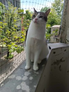 LENA_10.06.2023