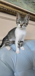 PANTELEIMONA_15.04.2025