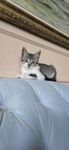 PANTELEIMONA_15.04.2025