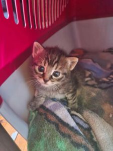CASPAR_26.05.2025