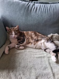 TAMARA_01.08.2022