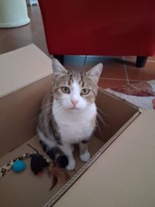 TAMARA_01.08.2022