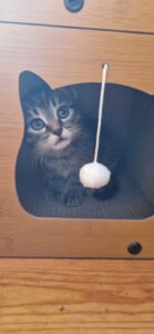 CASPAR_26.05.2025