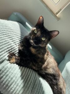 LOUISA_03.03.2022