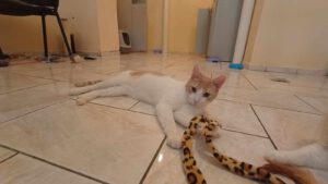 KIRIL_01.09.2024