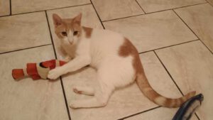 KIRIL_01.09.2024