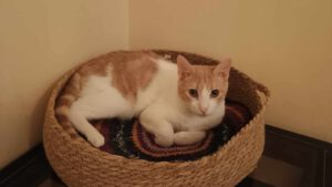 KIRIL_01.09.2024