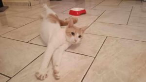 KIRIL_01.09.2024