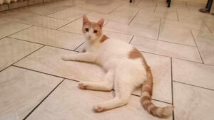 KIRIL_01.09.2024