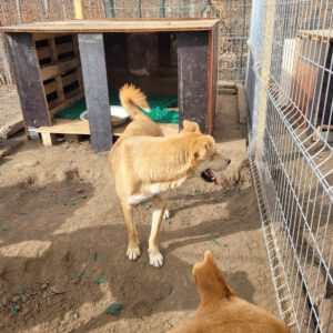 Cooper_Sep21_1
