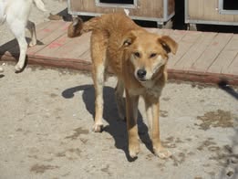 Cooper_Sep21_2