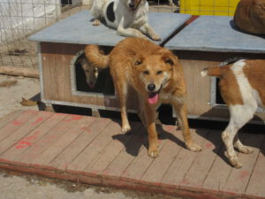 Cooper_Sep21_3