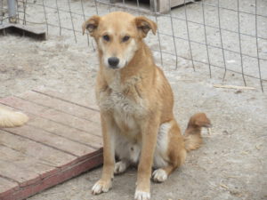 Cooper_Sep21_4