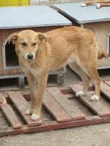 Cooper_Sep21_9