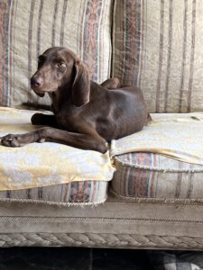 Dobby_Jul23_10