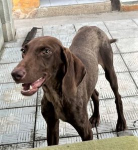 Dobby_Jul23_3