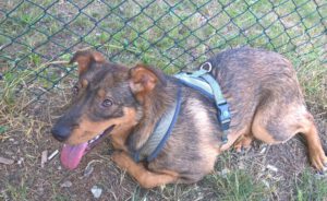 Elza_sep22_3