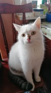 GEORGHE_16.01.2022
