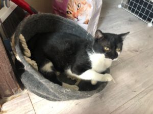 SCHNIPSEL