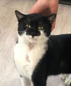 SCHNIPSEL