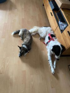 Kelly_Nov21_1