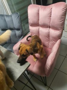 Kimbella_Feb25_6