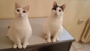 BORYANA und BILLY_01.09.2024