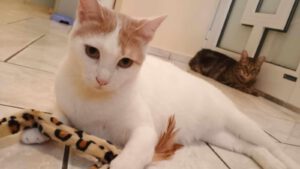 BORYANA und BILLY_01.09.2024