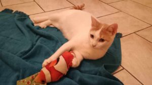 BORYANA und BILLY_01.09.2024