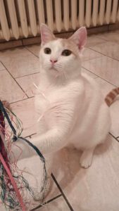 BORYANA und BILLY_01.09.2024