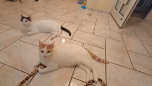 BORYANA und BILLY_01.09.2024