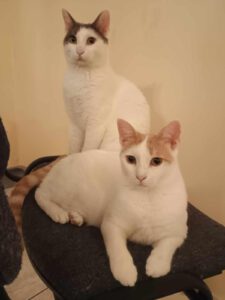 BORYANA und BILLY_01.09.2024