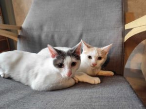 BORYANA und BILLY_01.09.2024
