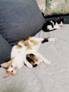 KASIOPAIA& KAAIRA_01.05.2025