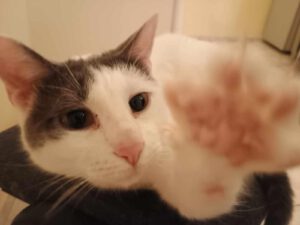 BORYANA und BILLY_01.09.2024